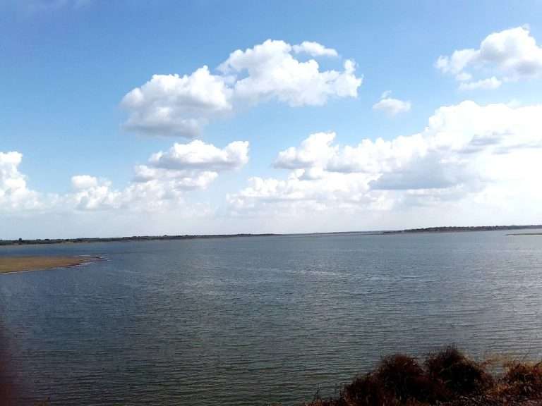 उजनी जलाशयात लहान मासळी मासेमारी; मांगूर मत्स्यपालनावर कठोर कारवाई होणार
