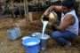 दूध उत्पादक शेतकऱ्यांना मोठा दिलासा दुधासाठी ५ रुपये प्रति लिटर अनुदान