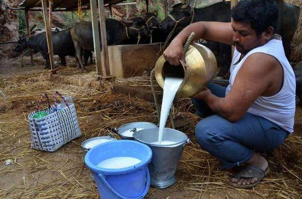 दूध उत्पादक शेतकऱ्यांना मोठा दिलासा दुधासाठी ५ रुपये प्रति लिटर अनुदान