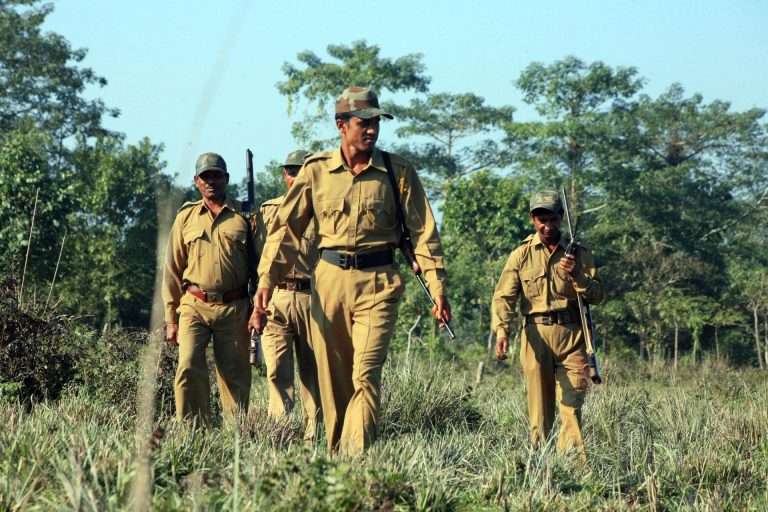 १२५६ वनरक्षकांच्या भरतीचा मार्ग मोकळा; पेसा क्षेत्रातील पदे वगळून होणार वनरक्षकांची भरती