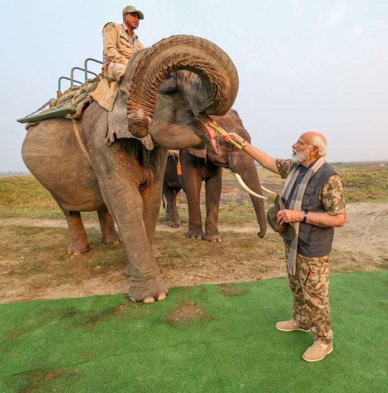 मोदींनी आसामच्या काझीरंगात केली जंगल सफारी