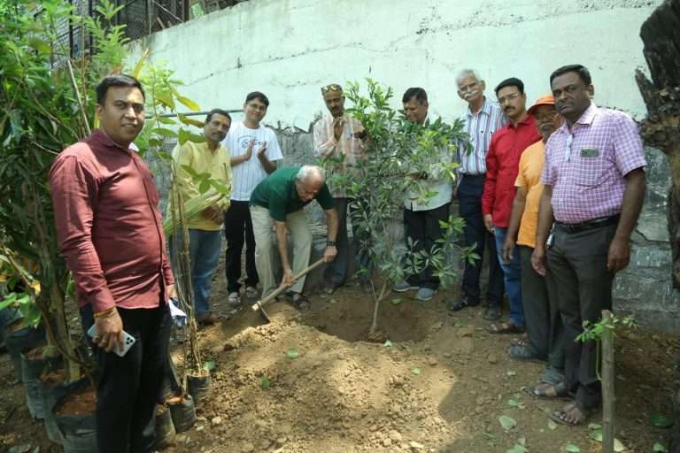 लकडी पूल विठ्ठल मंदिर परिसरातील देवराई मध्ये वृक्षारोपण