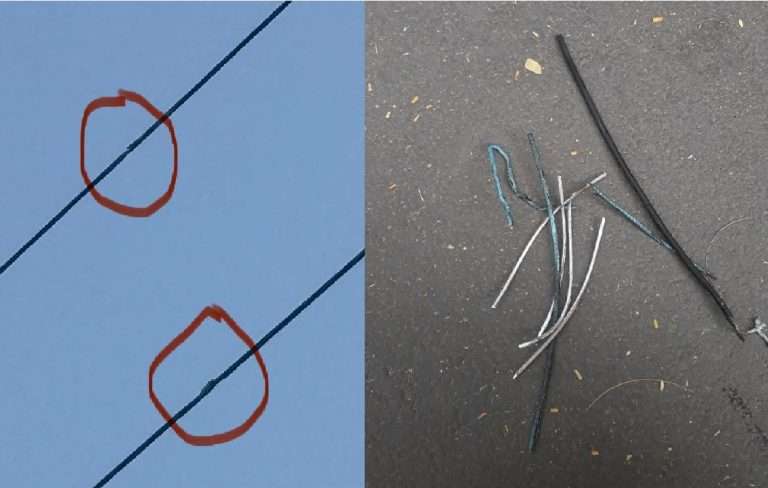 पक्ष्याची करामत अन्  तासभर अंधार