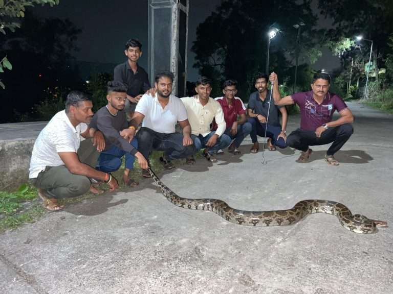 १० फुटी अजगर आढळल्याने खळबळ