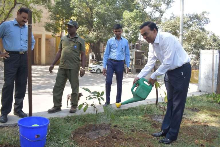 दादासाहेब फाळके चित्रनगरीत 50 वृक्षांची लागवड