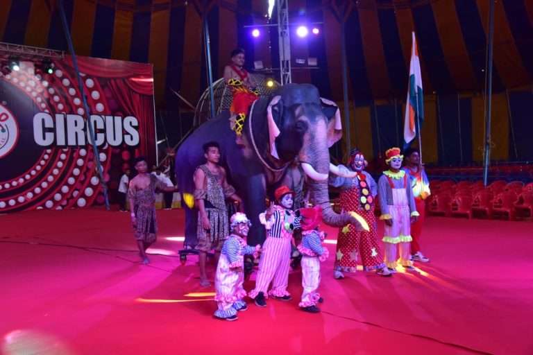 देशातील पहिला डिजिटल हत्ती ;रॅम्बो सर्कसमध्ये दाखल  !!