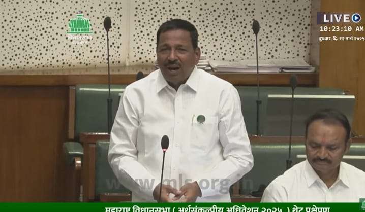 महापालिकेत समाविष्ट गावांचा विकास आराखडा कधी मंजूर होणार; पठारे यांचा अधिवेशनात सवाल