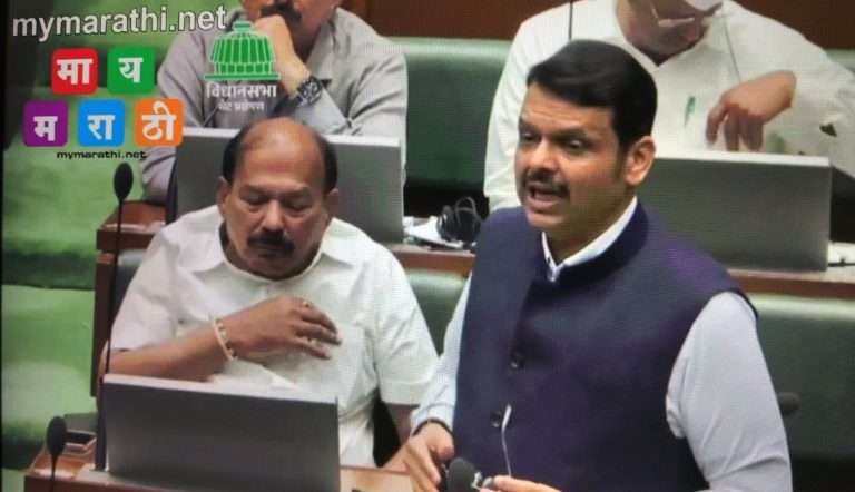 …त्यांना कबरीतूनही खोदून काढू, सोडणार नाही”, देवेंद्र फडणवीसांनी पुन्हा विधानसभेत दिला इशारा!