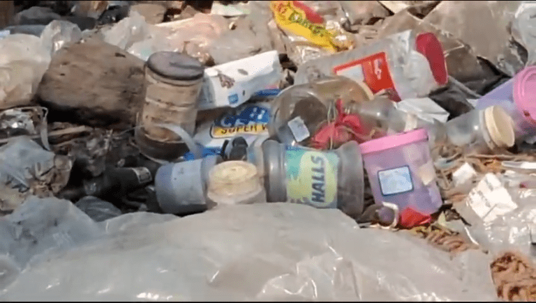 अबब ,अरेरे ..कचऱ्यात सापडले प्लास्टिकच्या बंद डब्यात 10 ते 11अर्भके.. मानवतेला काळिमा फासणारे वृत्त