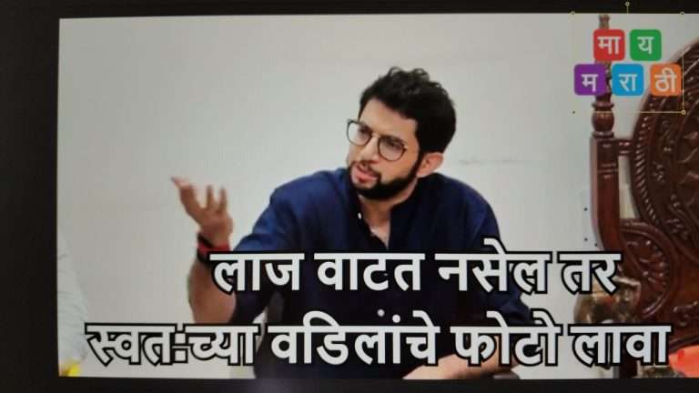 लाज वाटत नसेल तर स्वत:च्या वडिलांचे फोटो लावा,शिंदेंवर टीका करताना आदित्य ठाकरेंनी थेट लायकीच काढली