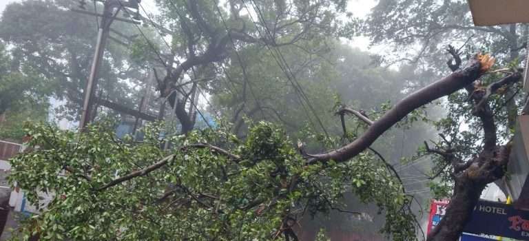 वीजपुरवठा खंडित होण्याची कारणे -अन् महावितरणची कसोटी