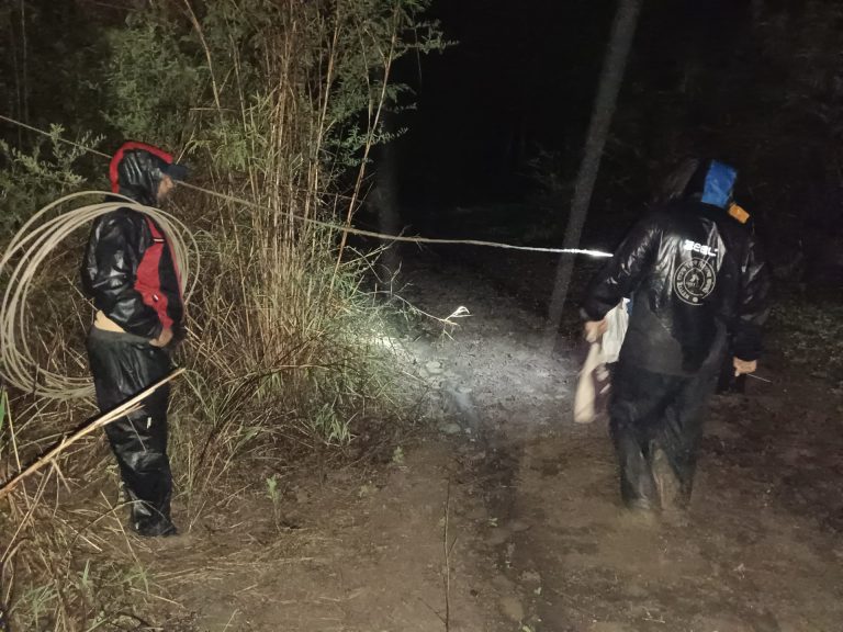 कोल्ह्यांचा हल्ला चुकवला ;जंगलातील चिखल तुडवून रात्रभर वीजयंत्रणेची दुरुस्ती पूर्ण…