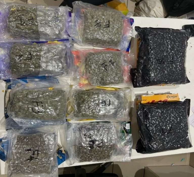 बँकॉकहून पुण्यात तस्करी:10.3 कोटींचे हायड्रोपोनिक गांजा पकडला-तिघांना अटक