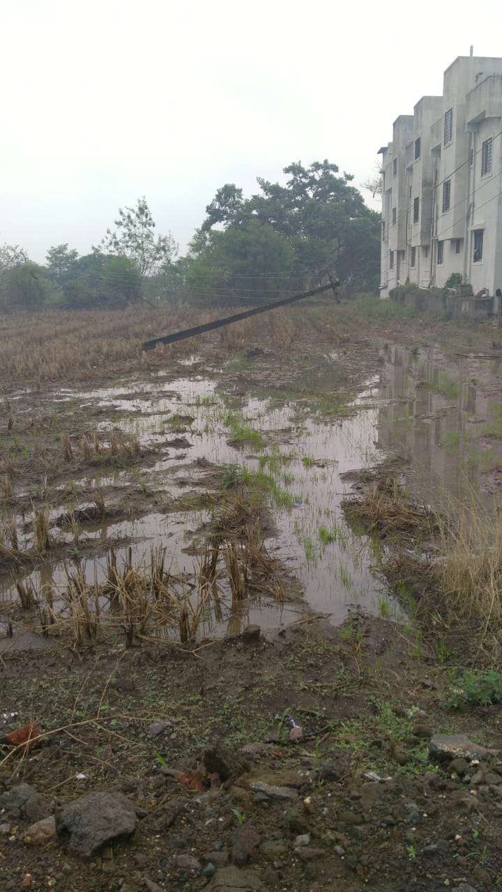 मुळशीमधील नेरे दत्तवाडीमध्ये कोसळलेले ३ वीजखांब उभारून वीजपुरवठा सुरळीत