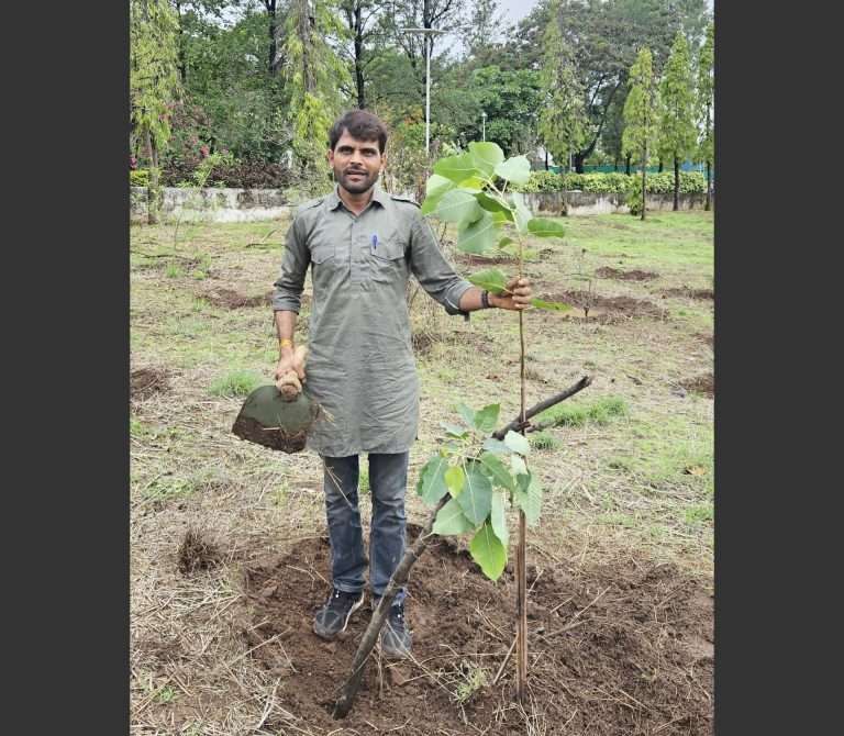 तीस वर्षांत लावले दीड कोटीहून अधिक झाडे
