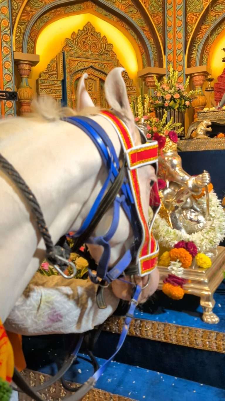 ज्ञानेश्वर माऊलींचे मानाचे अश्व श्रीमंत भाऊसाहेब रंगारी गणपतीच्या चरणी