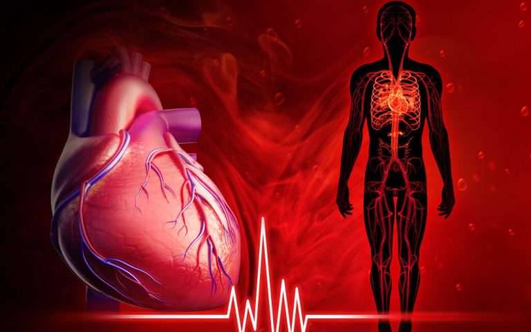 कर्नाटक:४० दिवसांत १९ ते ४५ वयोगटातील हार्ट अटॅकने 30 मृत्यू; भीतीपोटी हासनहून म्हैसूरला आला जमाव