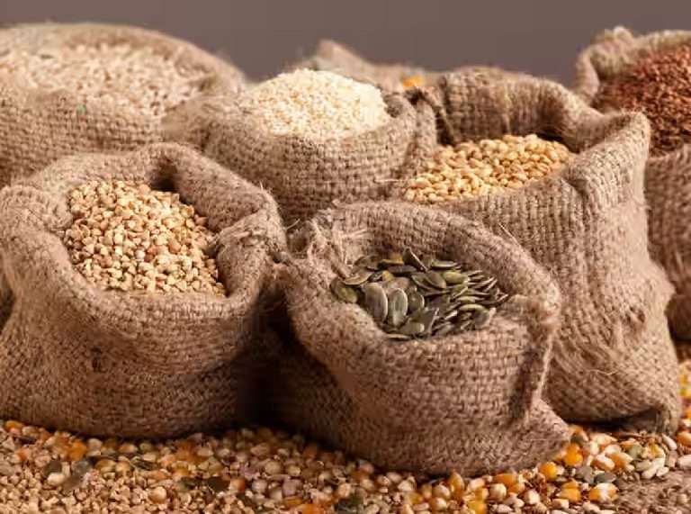 शासनाच्या फसवणूकीबद्दल शारदा महिला मंडळ रास्त भाव दुकानाचा परवाना रद्द