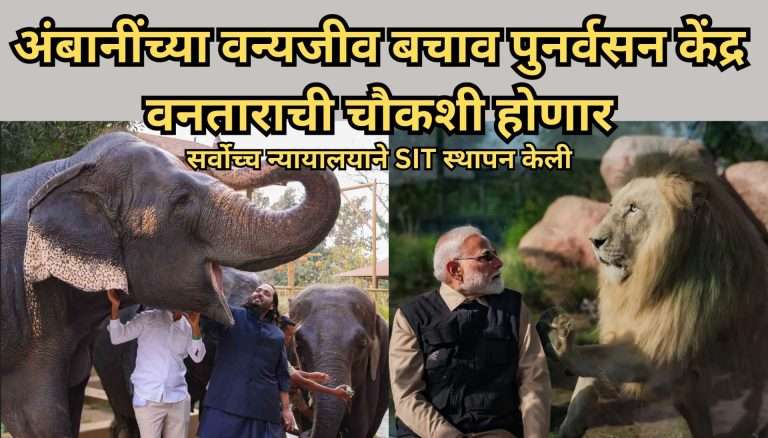 अंबानींच्या वन्यजीव बचाव पुनर्वसन केंद्र वनताराची चौकशी होणार:सर्वोच्च न्यायालयाने SIT स्थापन केली