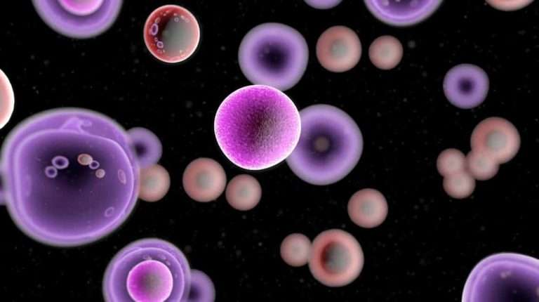 कर्करोग: राज्यभरातील १८ रुग्णालयांमध्ये मिळणार दर्जेदार उपचार