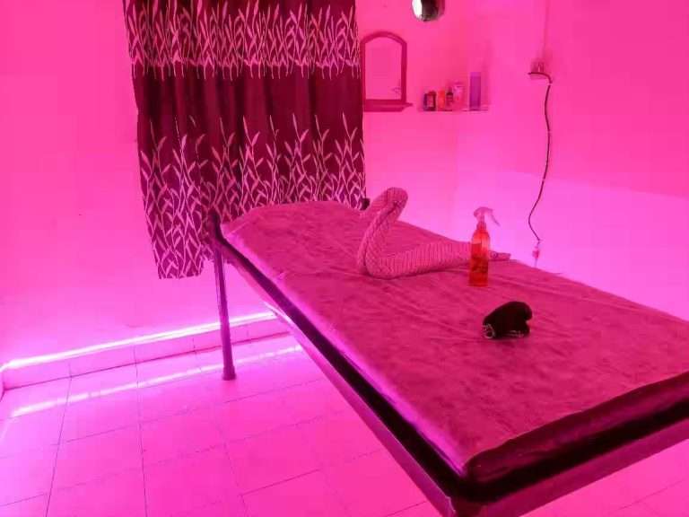 गुलटेकडीच्या वसुंधरा मसाज सेंटर वर छापा,6 पिडीत महिलांची सुटका