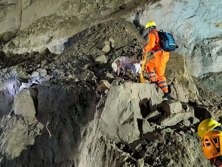 हिमाचलमध्ये बसवर डोंगरावरून ढिगारा कोसळला:15 जणांचा मृत्यू