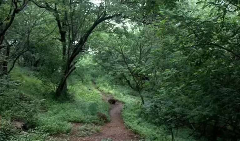 बालभारती ते पौड फाटा रस्ता सर्वोच्च न्यायालयाने उठविली  स्थगिती,आचारसंहितेपूर्वी काम सुरु करण्याची केसकर, कुलकर्णींची मागणी