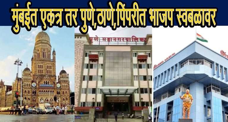 पुणे, पिंपरी-चिंचवड,ठाणे भाजपा स्वबळावर तर मुंबईत मात्र महायुती एकत्र लढेल- फडणवीस