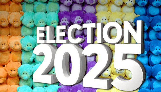 नगर परिषद सार्वत्रिक निवडणूक-२०२५-काय करावे व काय करु नये मार्गदर्शक सूचना जारी…