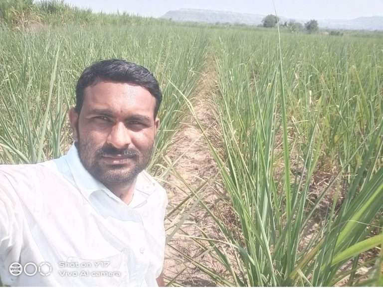 शेतकऱ्यांना दिलासा देणारी ‘मुख्यमंत्री बळीराजा मोफत वीज योजना’