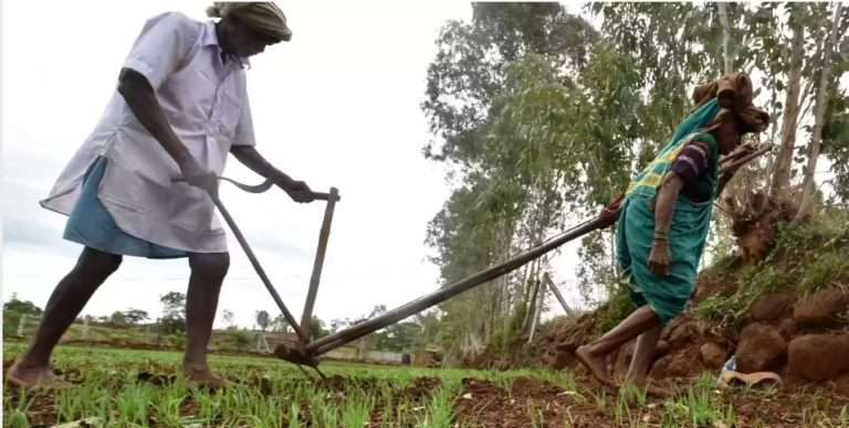 गेल्या 9 महिन्यांत 781 शेतकऱ्यांनी संपवले जीवन