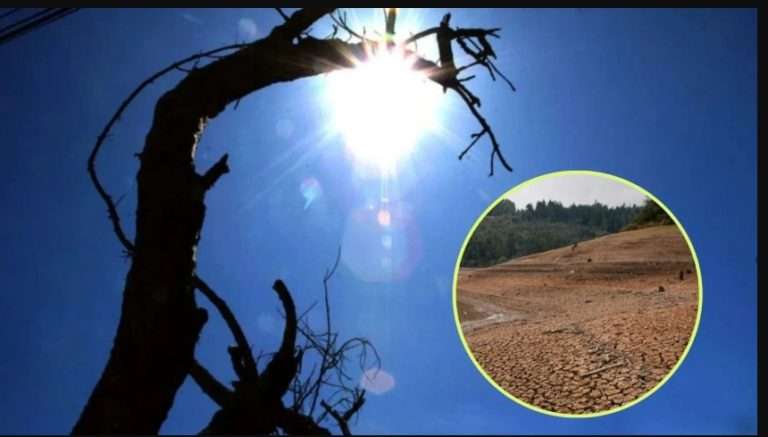 भारतात कुठे भीषण दुष्काळ,तीव्र उष्णता तर कुठे मुसळधार पाऊस:अल निनो इफेक्ट जाणवणार